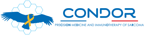 CONDOR PROGRAM Logo
